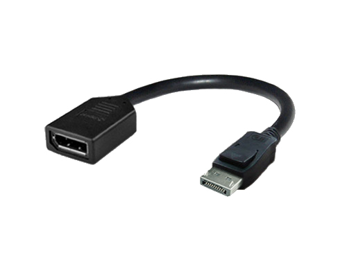 Display Port Adapters